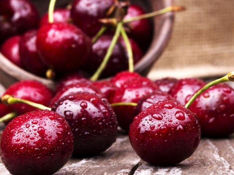 Вишня купить саженцы из питомника в Когалыме